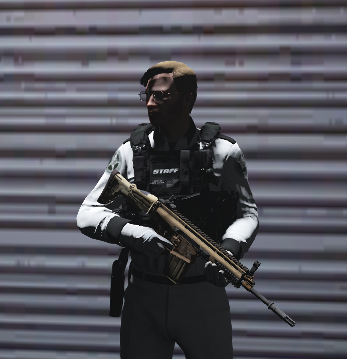 Galeria 204
